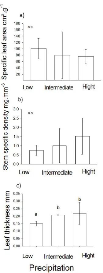 Figure 1. Mean values of attributes: a) specific leaf area (n.s. = no significant differences);