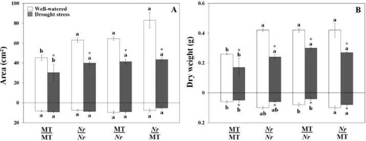 Figure  1. Area (A) and  dry  weight (B) assessments  of  self- and  reciprocal-grafted  Micro-Tom  (MT)  and