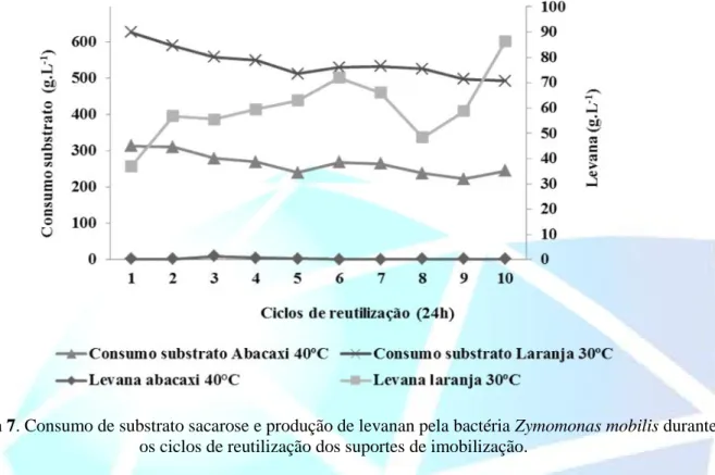 Figura 7. Consumo de substrato sacarose e produção de levanan pela bactéria Zymomonas mobilis durante os ciclos de reutilização dos suportes de imobilização.