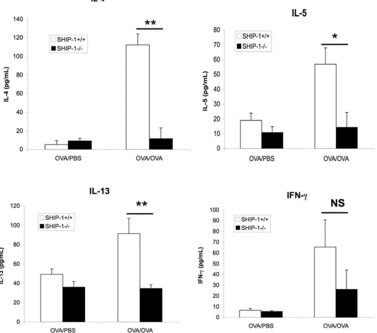 Figure 3. Serum levels of OVA-specific immunoglobulins. Serum samples of WT and SHIP-1 2/2 mice were collected at the time of sacrifice and OVA allergen-specific IgE, IgG1 and IgG2a were measured by ELISA