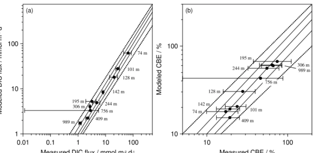 Figure 5. (a) Measured vs. modeled DIC fluxes and (b) measured vs. modeled carbon burial e ﬃ ciencies (CBE) at 12 ◦ S
