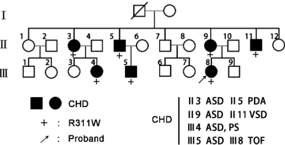 Fig 1. GATA4 mutation segregates with familial CHD. Family members in the pedigree chart are indicated by generations (I-III) and numbers