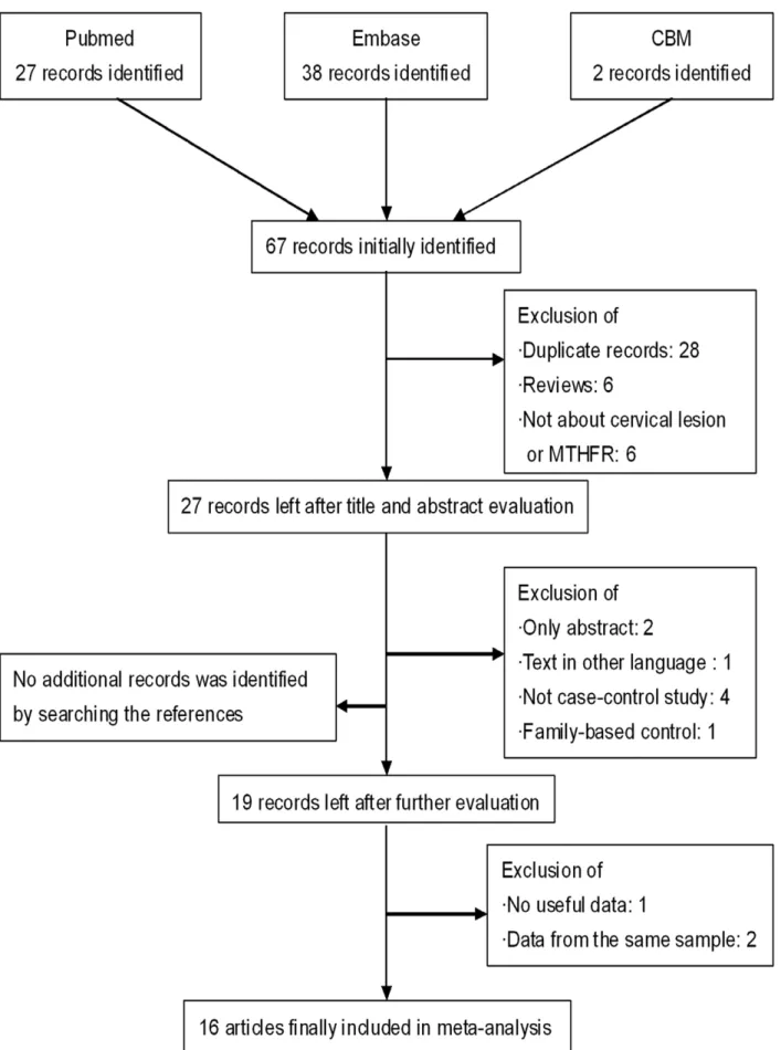 Figure 1. Flow diagram of the study selection process.