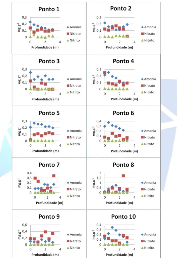 Figura 3. Variação da concentração dos parâmetros analisados na área de estudo, Seberi-RS, 2013.