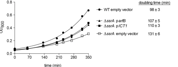 Fig 4. expression of ICT1 partially complements the growth defect of δssra cells. Growth of wild-type cells, Δ SSRA cells, or Δ SSRA cells expressing ArfB or ICT1 from a plasmid was monitored during exponential phase