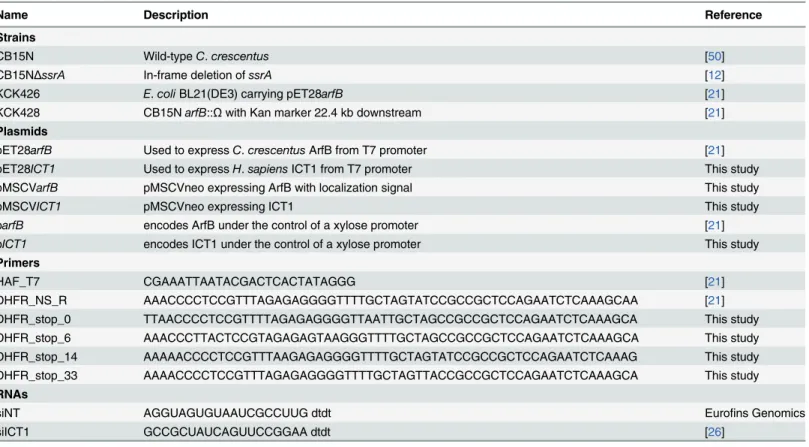 Table 1. Strains, plasmids, primers and RNAs used in this study.
