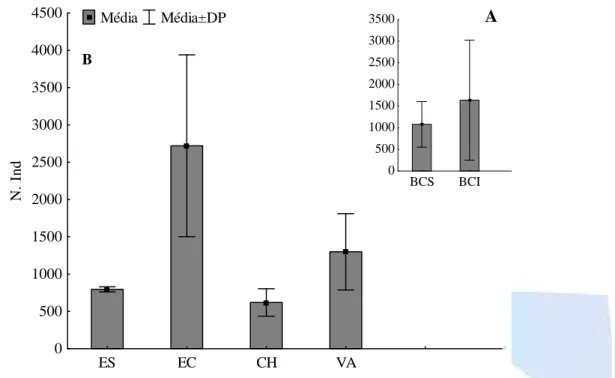 Figura 4. Valores da abundância média (A) de invertebrados associados às macrófitas aquáticas nos sistemas da baía Caiçara Superior (BCS) e baía Caiçara Inferior (BCI), e (B) nos períodos de amostragem, entre de agosto de 2006 a maio de 2007.