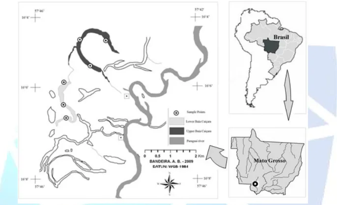 Figura 1. Localização dos pontos de amostragem na baía Caiçara (Upper Baía Caiçara - Baía Caiçara Superior = BCS e Lower Baía Caiçara - Baía Caiçara Inferior = BCI) no Pantanal Matogrossense.