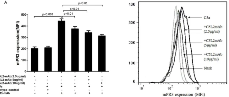 Figure 3. Blocking C5L2 decreased C5a-primed neutrophils expression of membrane-bound PR3 (mPR3)