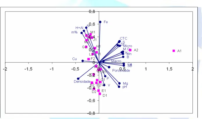 Figura 5. Análise dos componentes principais 1 e 2 das médias das variáveis comparando a área de cana-de- cana-de-açúcar com mata