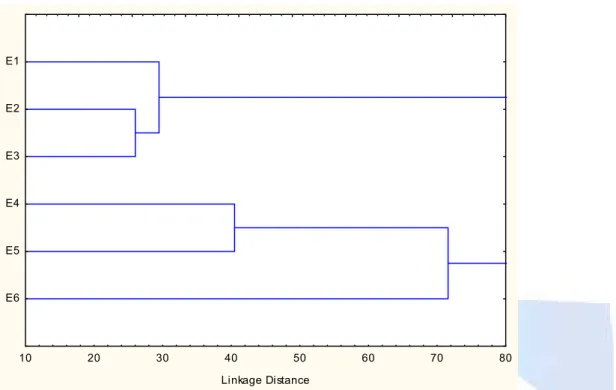 Figura 3. Análise de cluster, descrevendo o agrupamento entre as estações amostrais no reservatório de  Itupararanga