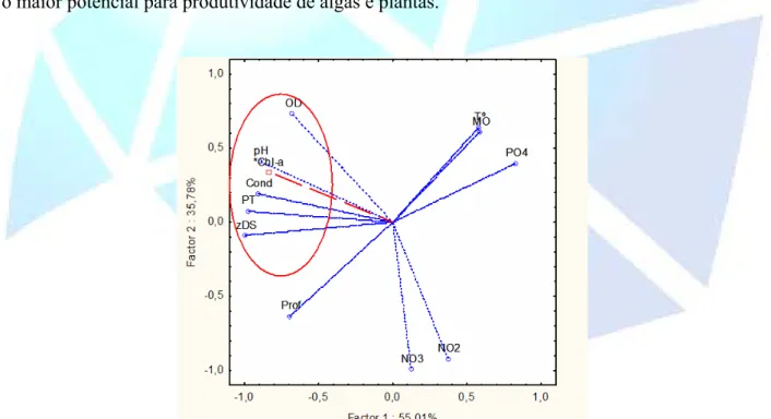 Figura 4. Relações entre a biomassa fitoplanctônica e parâmetros ambientais referentes aos dois primeiros  componentes principais no reservatório de Itupararanga