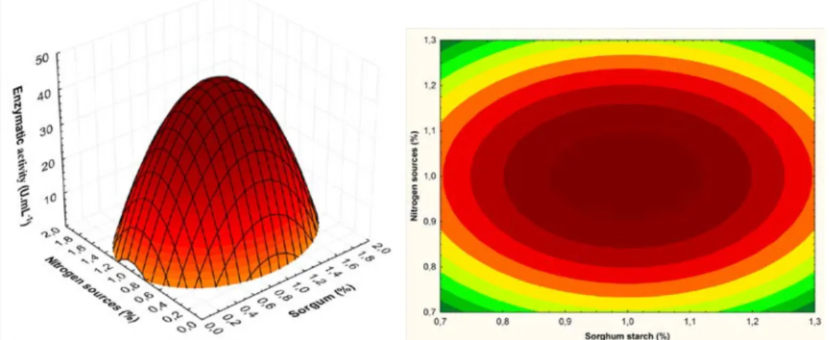 Figure 1:  Surface Plots of CGTase activity (U.mL -1 ) in  function of nitrogen sources (%) and sorghum starch (%)