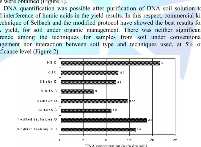 Figure 2. DNA concentration (µg/g dry soil) measured by spectrophotometry at 260 nm from soil under organic  (O) and conventional (C) managements from sugar cane crop areas, using different techniques of DNA extraction