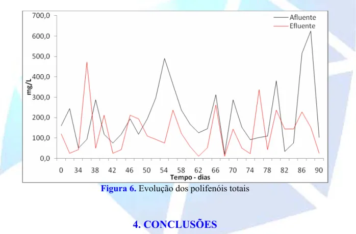 Figura 6. Evolução dos polifenóis totais    