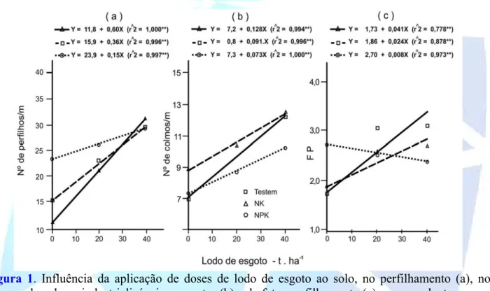Figura 1. Influência da aplicação de doses de lodo de esgoto ao solo, no perfilhamento (a), no  número de colmos industrializáveis por metro (b) e do fator perfilhamento (c) na cana-planta