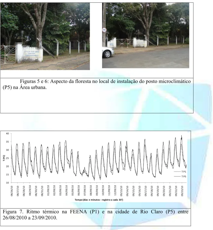 Figura  7.  Ritmo  térmico  na  FEENA  (P1)  e  na  cidade  de  Rio  Claro  (P5)  entre  26/08/2010 a 23/09/2010