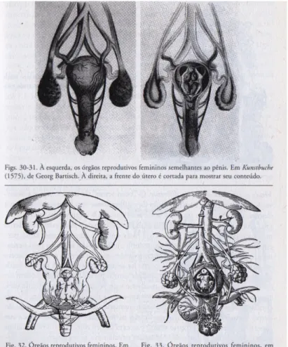 Figura 1: Reprodução de página do livro “Inventando o sexo”, no qual Thomas Laqueur  reproduz algumas ilustrações do século XVI feitas sobre o “útero”, “vagina” e demais  órgãos (Laqueur 1991: 113).