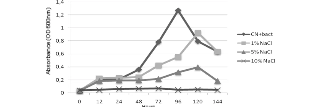 Figure 1 B. cereus growing in the presence of different concentrations of NaCl. 