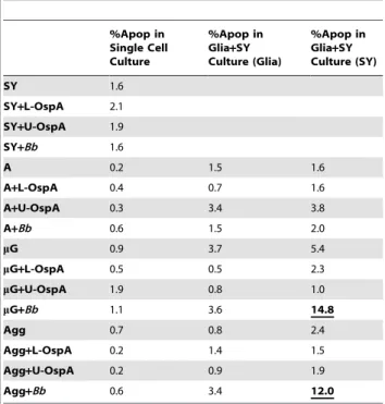 Table 1. Borrelia burgdorferi-induced apoptosis in SH-SY5Y (SY) neurons and primary rhesus glia.