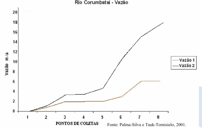 Figura 3. Vazão na calha principal do rio Corumbataí no período seco/frio (vazão 1) e  no período chuvoso/quente (Vazão 2)