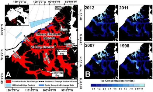 Fig. 1. The geographical location of the Canadian Arctic Archipelago (CAA) (A) and spatial distribution of CAA mean September total ice concentration (tenths) for the four extreme light years (B).