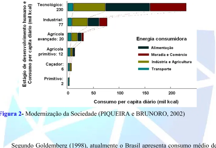 Figura 2- Modernização da Sociedade (PIQUEIRA e BRUNORO, 2002) 