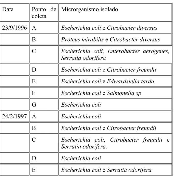 Tabela 5 - Enterobacteriaceae identificadas nos 7 pontos de coleta do Córrego São João,  município de Porto Nacional-TO, no mês e Setembro/1996 e fevereiro/1997