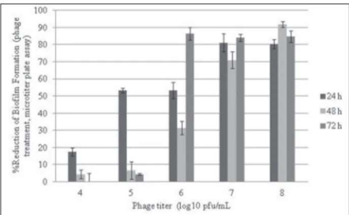 Fig. 1. Effect of phage treatment on biofilm formation during  24-, 48- and 72-h incubation periods and the reduction  percent-ages of biofilm formation (microtiter plate assay) (Bars represent  standard deviation).