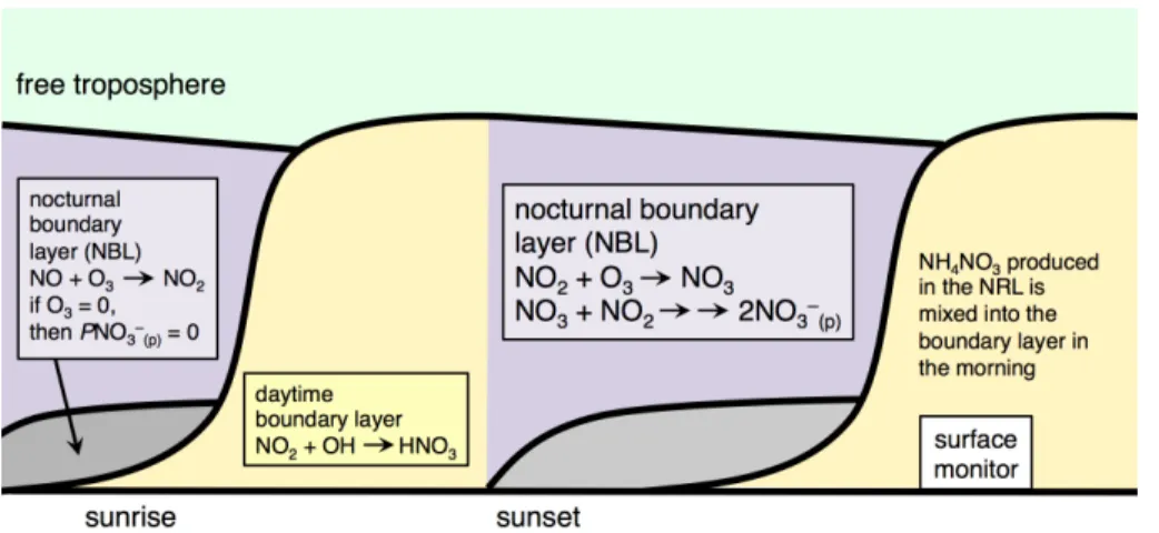 Figure 4. Simplified illustration of the diurnal evolution of the near-surface atmosphere as it relates to P NO − 3 