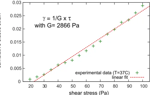 Fig. 3. Strain-stress curve obtained using the strain augmentation synchronous with the stress growth prior to reaching the plastic yield stress.