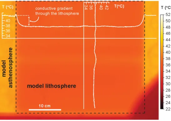 Fig. 6. Infrared image of the model surface. The homogeneity of the surface temperature T s is measured using an infrared camera