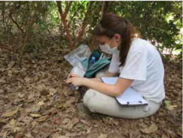 Fig. 7. Uma aluna italiana da Universidade de Pisa em intercâmbio científico a realizar trabalho de  campo em Nova Sintra (2017)