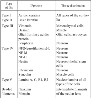 Table 2. Classi ﬁ  cation of the intermediate  ﬁ  laments