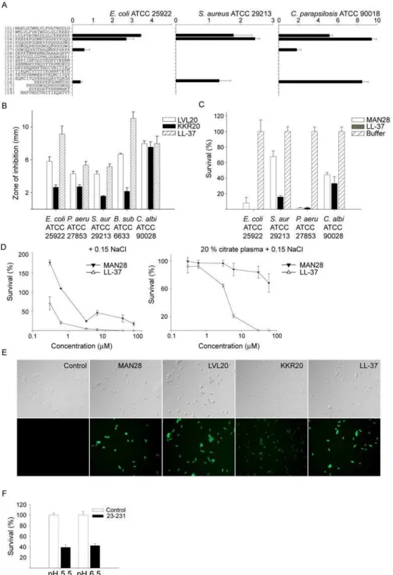 Figure 3. Activities of peptide sequences of PrP. (A) Antimicrobial activity of selected peptides (at 100 mM in RDA) against the indicated microbes