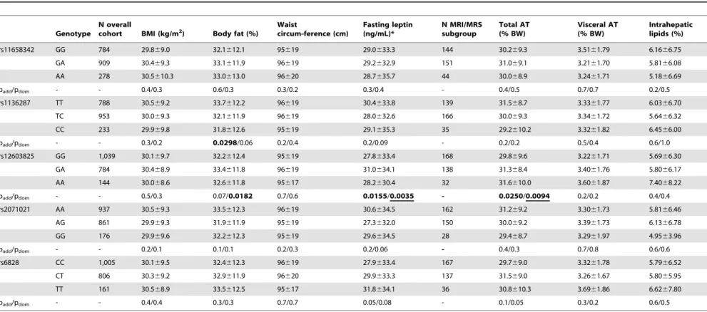 Table 2. Associations of SERPINF1 SNPs with parameters of body fat content and distribution (overall cohort and MRI/MRS subgroup).
