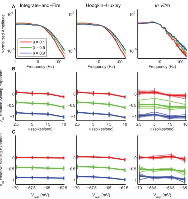 Figure 8. V m frequency-scaling exponent changes for different input frequencies n and for different resting membrane potential V rest 