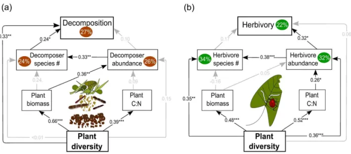 Figure 2. Path diagram explaining plant community effects on decomposition and herbivory