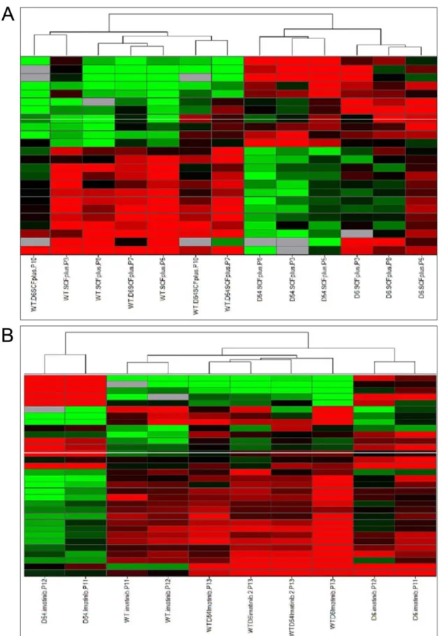 Figure 2. Supervised Hierarchical clustering of mRNA expressions in cell lines following an ANOVA