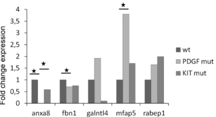 Figure 7. Unsupervised hierarchical clustering of miRNA expressions in 20 GIST samples