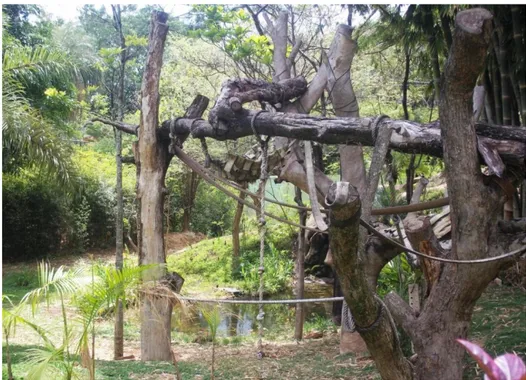 Figura 1: Exemplo de recinto com enriquecimento físico – Zoológico de Belo Horizonte 