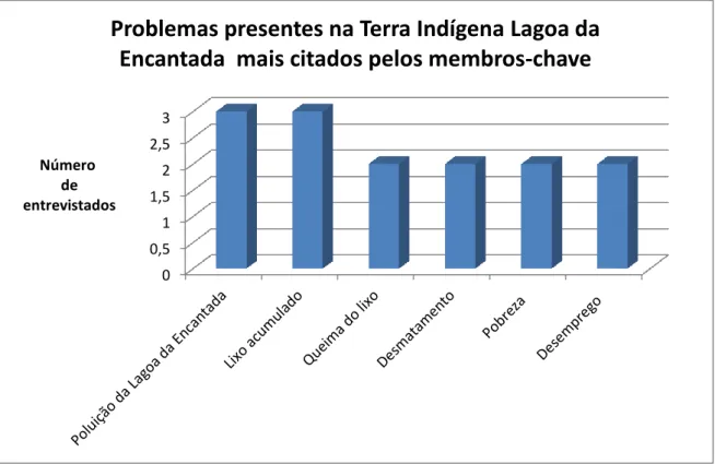 Gráfico  2:  Problemas  presentes  na  Terra Indígena  Lagoa  da  Encantada  mais  citados  pelos  membros-chave.
