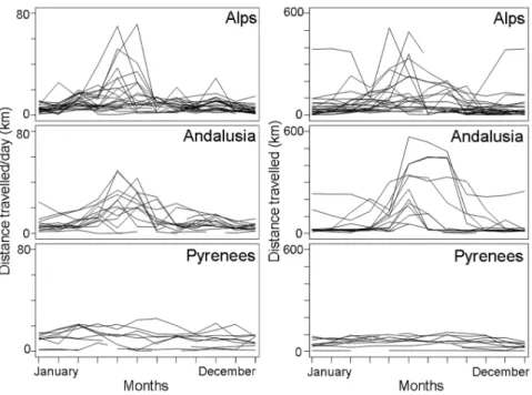 Figure 3. Interpopulation variability in daily average distances travelled by pre-adult bearded vultures