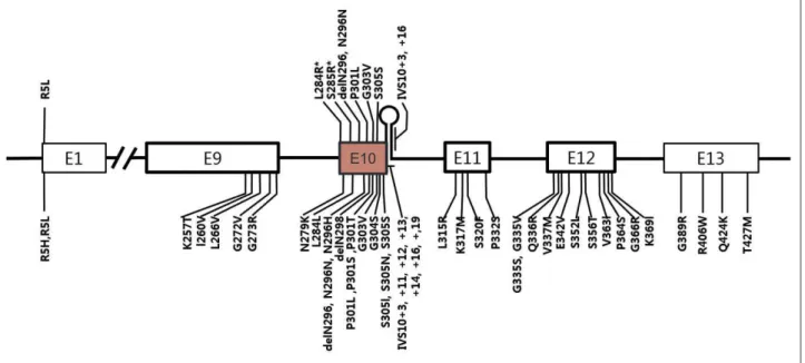 Figure 1. A schematic diagram showing exons of  MAPT  and locations of mutations. Mutations discovered in patients with progressive su- su-pranuclear palsy (PSP) or PSP-like phenotypes were marked in the upper half of the diagram and those with frontotempo