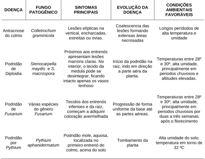 Tabela 03: Principais podridões fúngicas do colmo e raiz do milho 