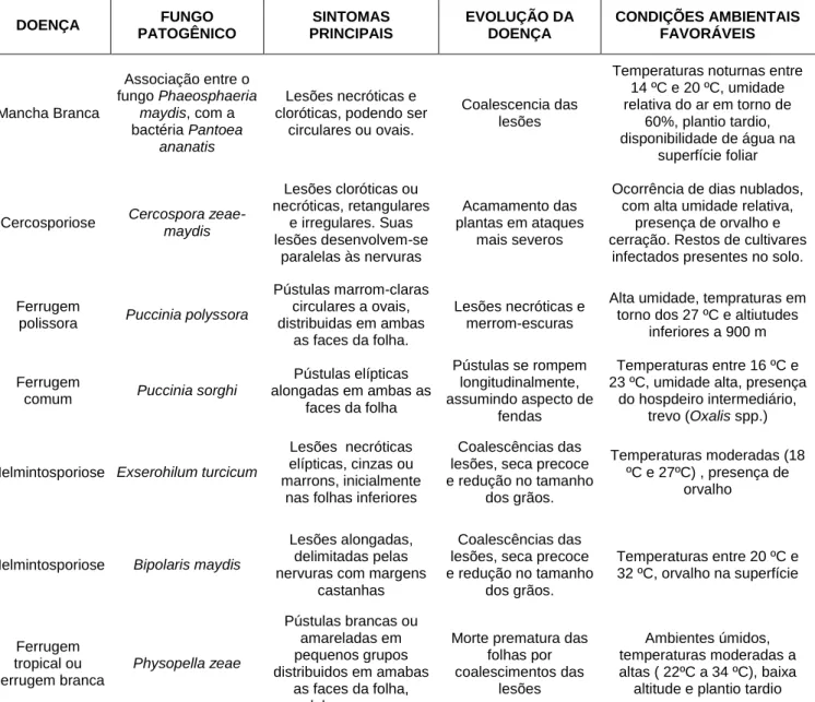 Tabela 04: Principais doenças fúngicas foliares do milho