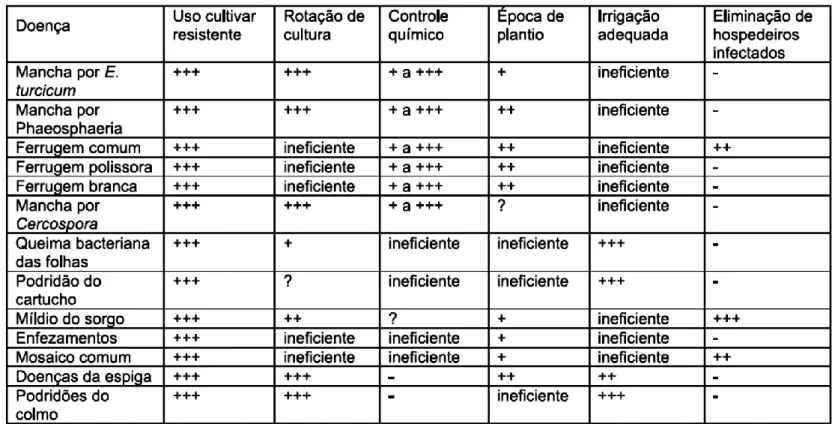 Figura 01: Eficiência das medidas para o controle das principais doenças do milho