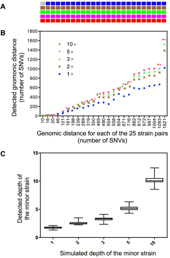 Fig 3. Detection of mixed infections from artificial WGS reads. (A) The cells represent 125 synthetic samples of mixed infection