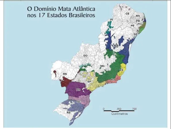Figura 1a. O Domínio Mata Atlântica nos 17 Estados Brasileiros. No Brasil a Mata Atlântica ocorre em 17  Estados  e  em  cerca  de  3.400  municípios