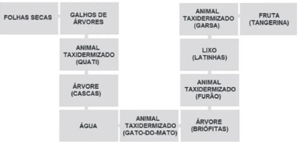 Figura 1 – Percurso da Trilha